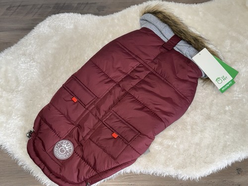 New pet winter sailor dog - winter,