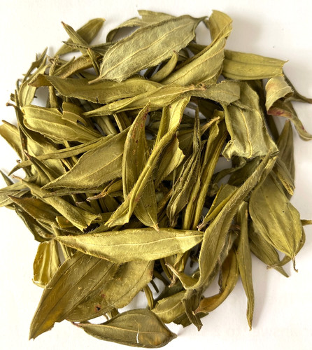 Osbeckia octandra liver - octandra,