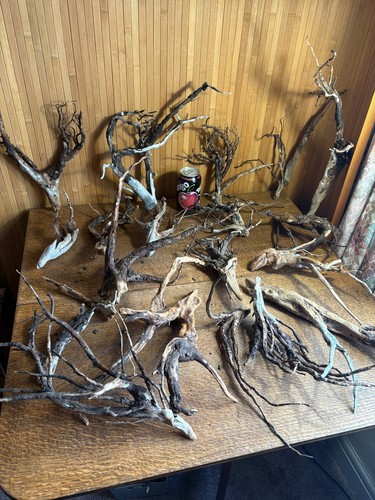 Driftwood job lot - driftwood,
