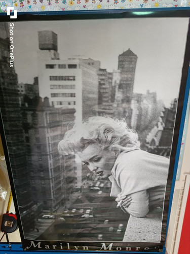 Marilyn monroe poster - monroe, new