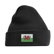 Wales Beanie Hat - Warm Knit
