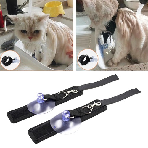Pet bathing tether - pet, with