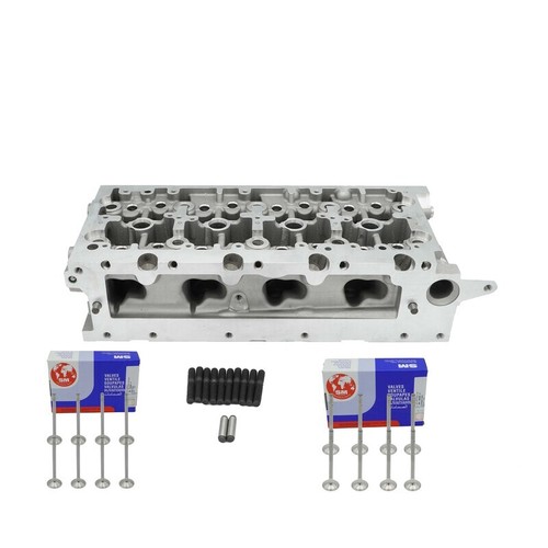 Cylinder head bare valves - head,