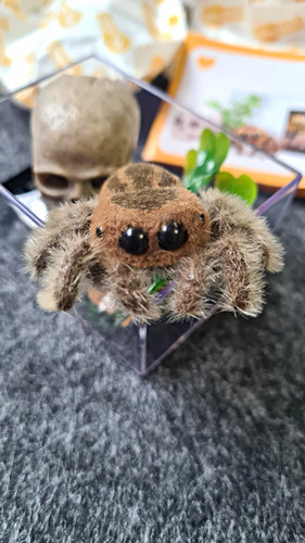 Zuru mini pets - zuru, my