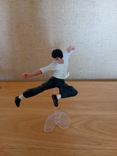 Bruce lee collectible - bruce,