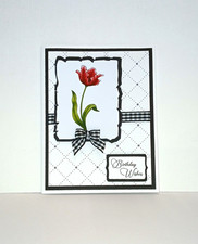 Birthday Red Parrot Tulip DIY