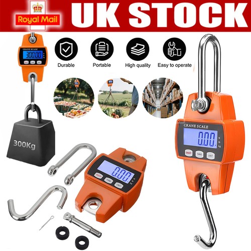 300kg mini crane scale - crane,