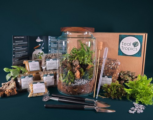 Large clear glass terrarium - clear,