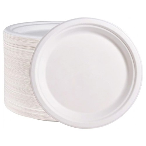 Bagasse paper plate - bagasse, disposable