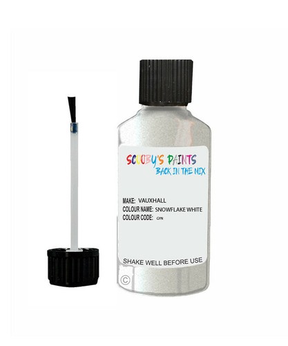 Paint for vauxhall snowflake - paint,