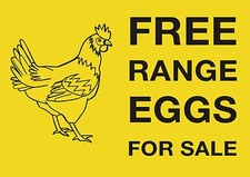 Free Range Eggs For Sale - Rigid Exterior Sign - A3 approx - Farm, Shop, Home,  