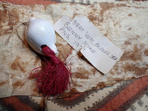 Png shell currency pendant - png,