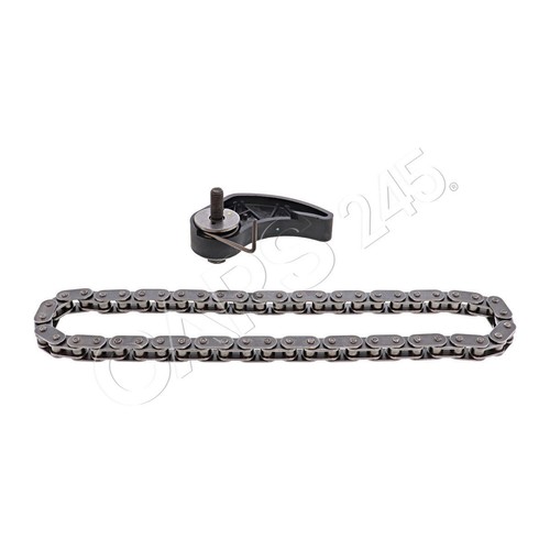 Oil pump drive - chain, vaico