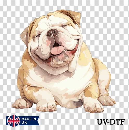 English bulldog dtf sticker - english,