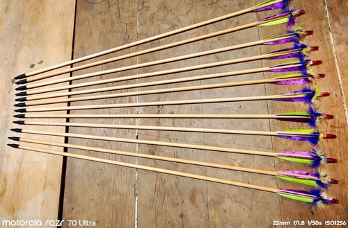 Wood traditional target - 12,