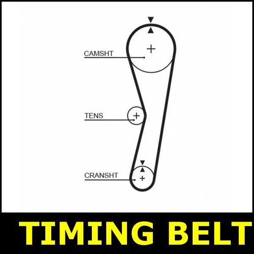 Timing belt cam fits ldv - timing,