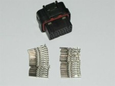 DTA S40 MOTEC LINK A Loom 34