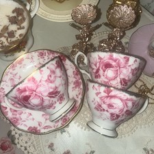 RARE Vintage Royal Albert Collectors ‘paradise’ Teacup Set Pink Rose