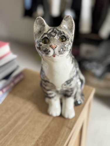 Winstanley cat size tabby - winstanley, 3,