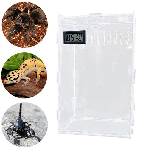 Acrylic spider enclosure - acrylic,