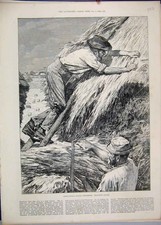 Original Old Antique Print 1886 Agricultural Scene Men Thatching Straw Stalk