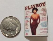 Miniature Dollhouse book