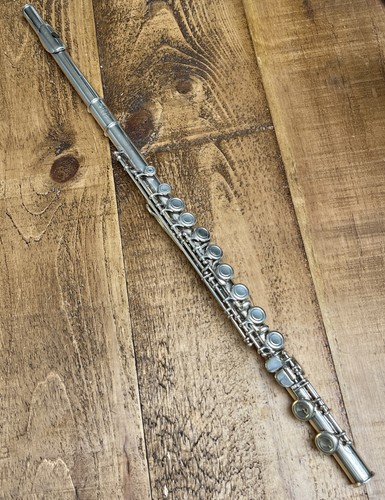 Buffet flute with hard case - e,
