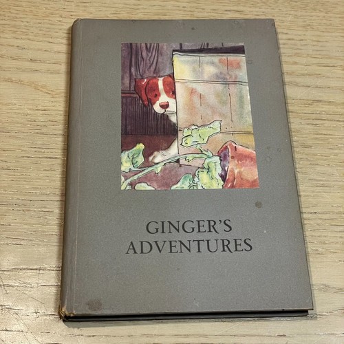 Ladybird ginger adventures - ladybird,