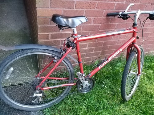 Men mountain bike - mountain,