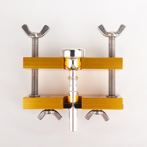 Professional mouthpiece - professional,
