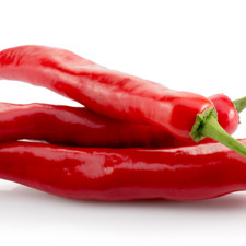 Chilli Plants - 'Cayenne' - 4