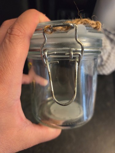 Small mason jar with clip