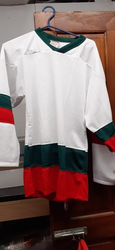 Ice hockey roller - ice,