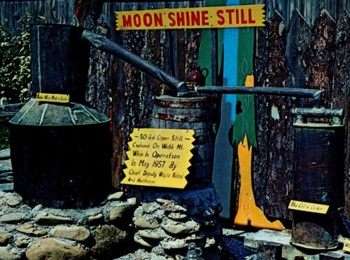 Moonshine still pigeon - still,