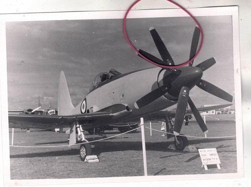 Photo aircraft westland - photo,