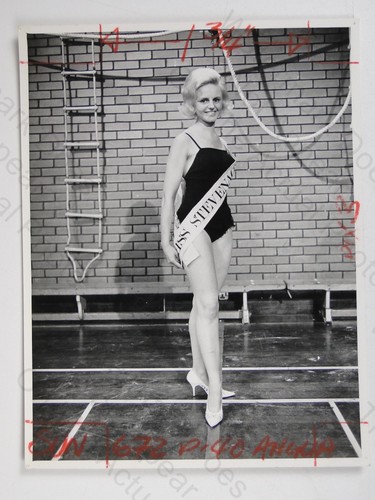 Carole stevens miss stevenage - carole,