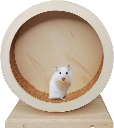 New trixie exercise wheel - exercise,