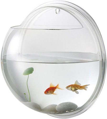 Alipis wall mounted - wall, fish