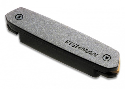 Fishman pro neo d01 - fishman, pro-neo-d01
