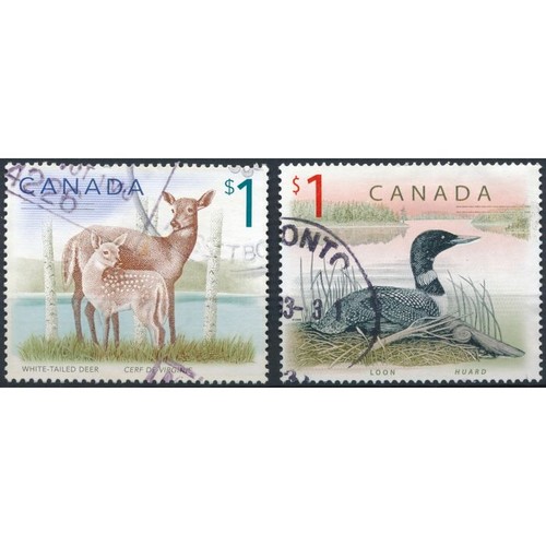 Fauna deer loon canada - -,