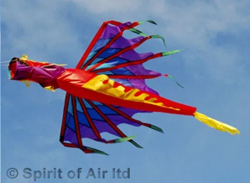 Chinese fire dragon - chinese,