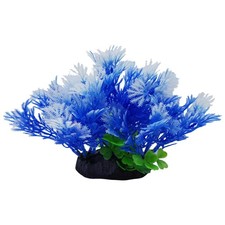 Blue Colored Plant on Weighted