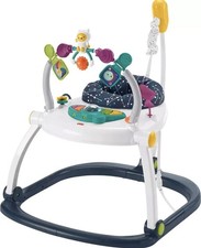 Fisher-Price Baby Bouncer