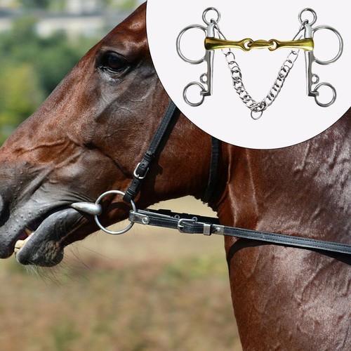Horse bit training for - horse,