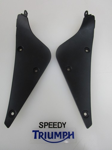 Triumph daytona 675 fairing - daytona,