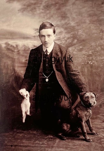 Cabinet card rabbit - cabinet,