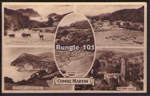 39821 combe martin - [39821],