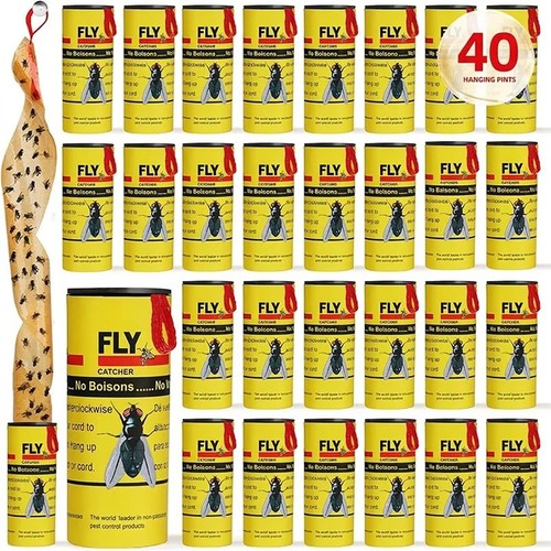Fly insect catcher paper - fly,
