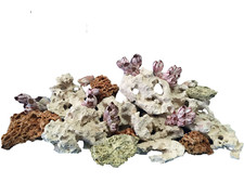 Aquarium rock fish - fish, tank