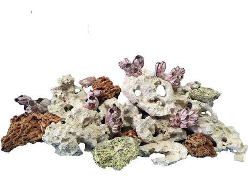 Aquarium rock fish tank - aquarium,